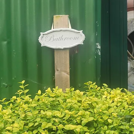 Роскошный шатер Glamping In