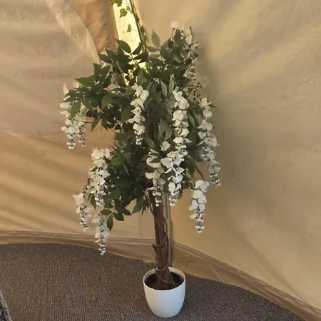 Glamping In Dromineer