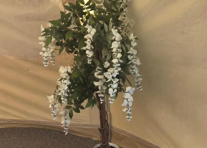 Glamping In Dromineer